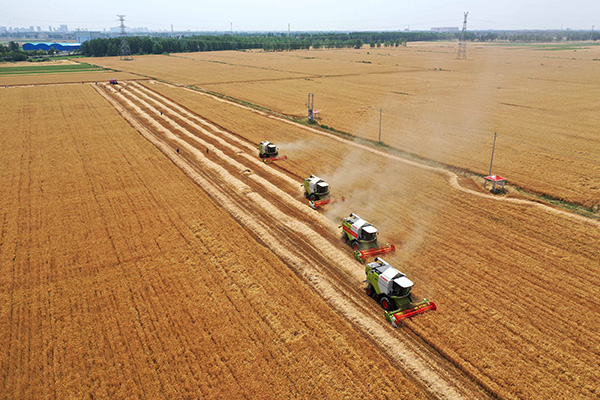 收割機專業服務團隊